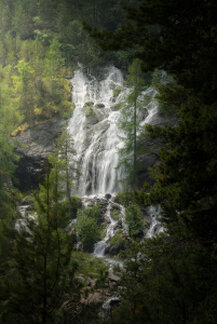 Cascata nel bosco di montagna tra alberi verdi, acqua che scende su rocce scure in più salti.