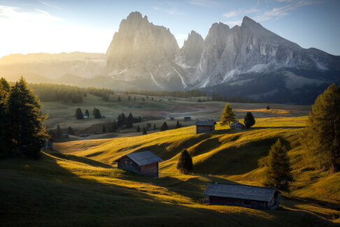 Prime luci dell’alba sull’Alpe di Siusi nelle Dolomiti. Le dolci ondulazioni dei prati vengono attraversate dalla luce del sole nascente mentre il gruppo del Sassolungo emerge sullo sfondo. Un paesaggio silenzioso e contemplativo che racconta il lento risveglio della valle.